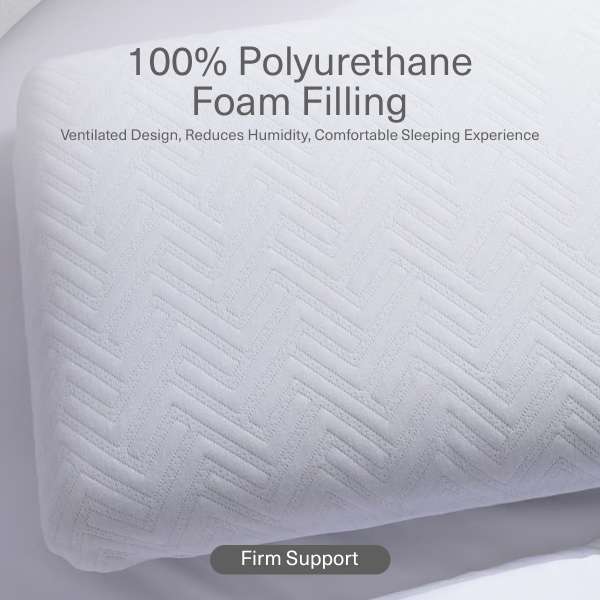 Solace Graphene Memory Foam Pillow 45x70x13cm White Pan Home UAE